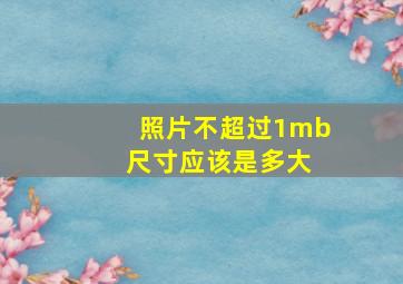 照片不超过1mb 尺寸应该是多大